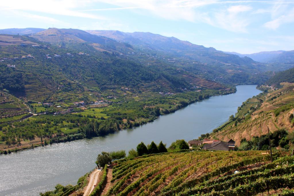 Camping Lamego Douro Valley Eksteriør bilde