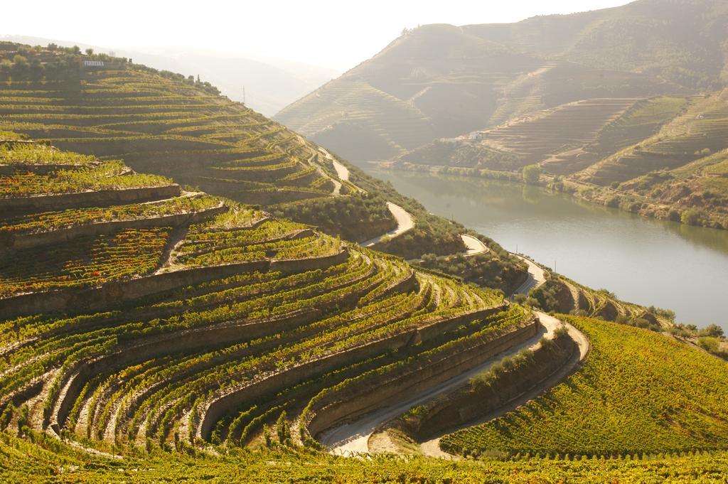 Camping Lamego Douro Valley Eksteriør bilde