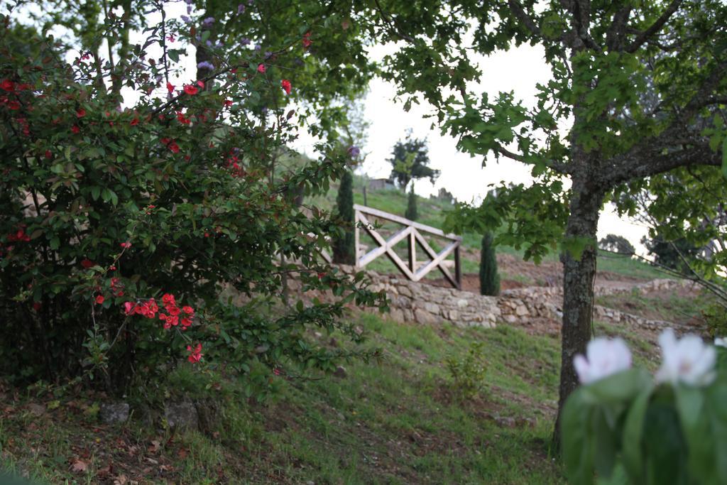 Camping Lamego Douro Valley Eksteriør bilde