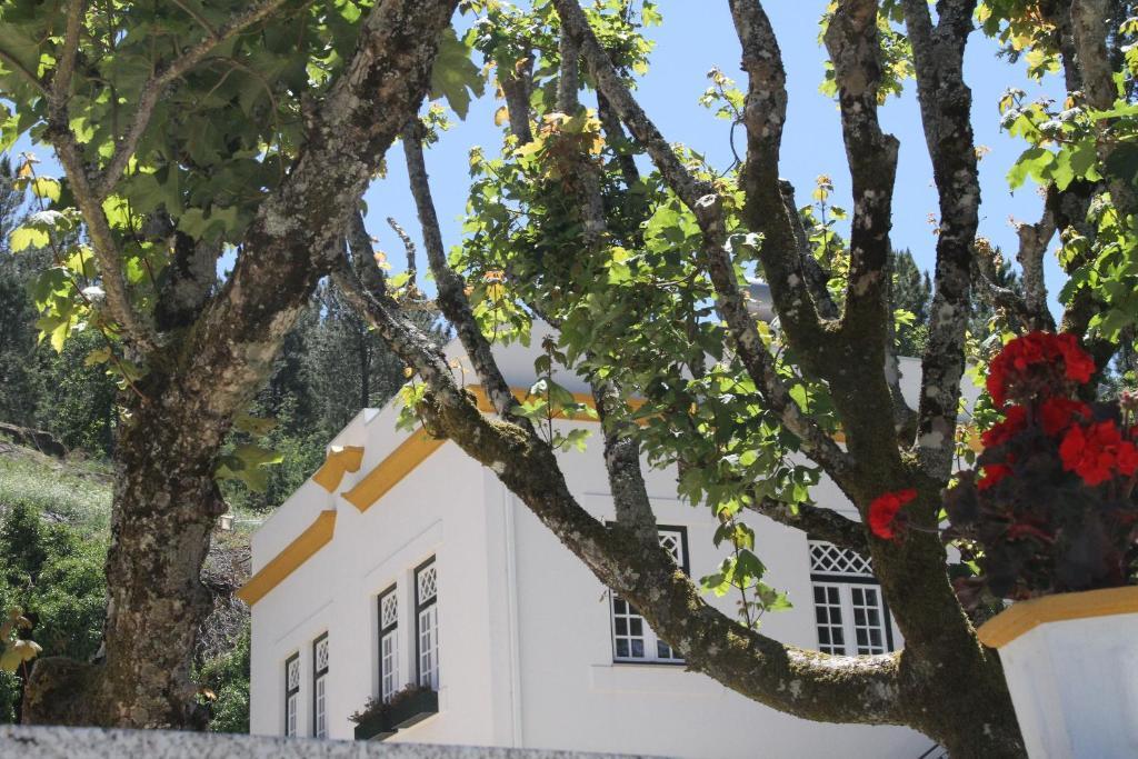 Camping Lamego Douro Valley Eksteriør bilde