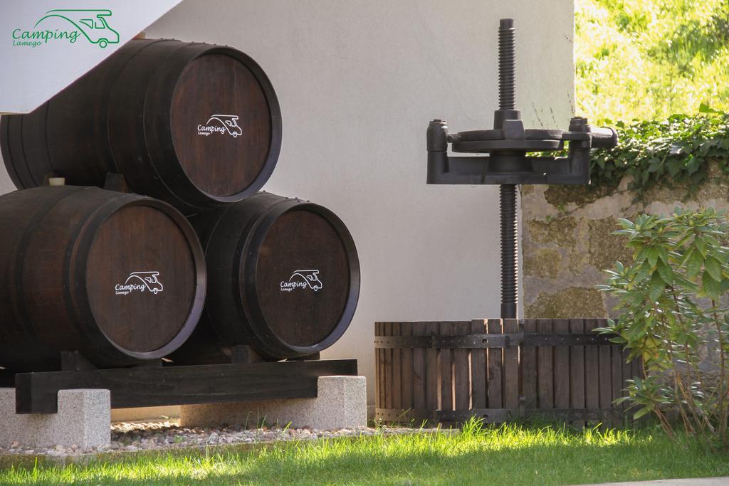 Camping Lamego Douro Valley Eksteriør bilde