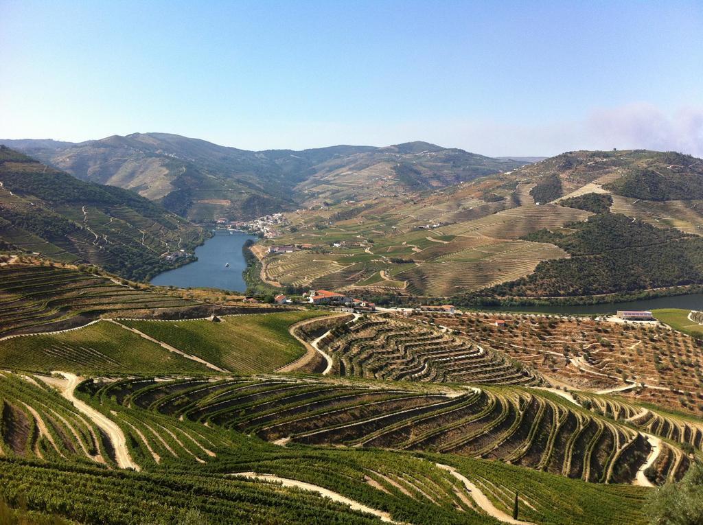 Camping Lamego Douro Valley Eksteriør bilde